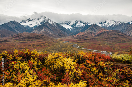 Fall Colors in Denali National Park © Greg Meland