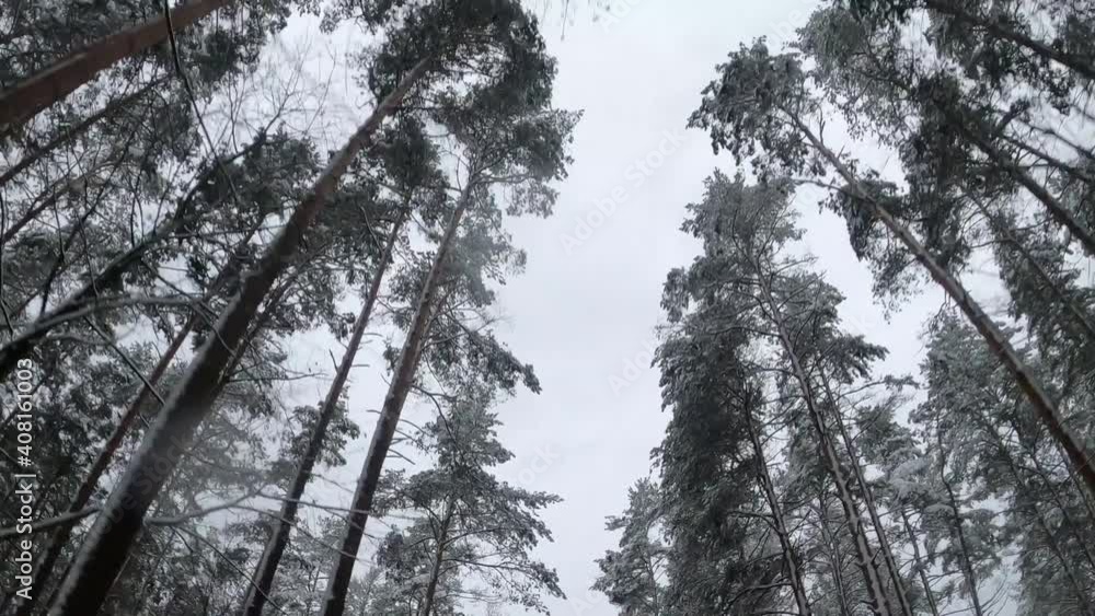 Car drives through a snowy forest, there is a lot of snow around, and there is snow on the trees. Car drives through a snowy forest, there is a lot of snow around, and there is snow on the trees.
