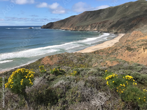 Beach Ocean mountains Flowers 