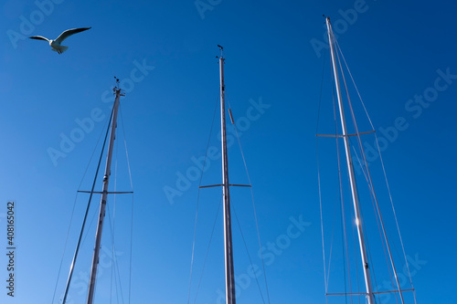 three masts of sailboats with a flying seagull