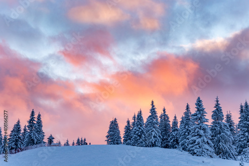 Sunset with heavily snowed trees, Pangarati Peak, Harghita, Transylvania, Romania, Europe