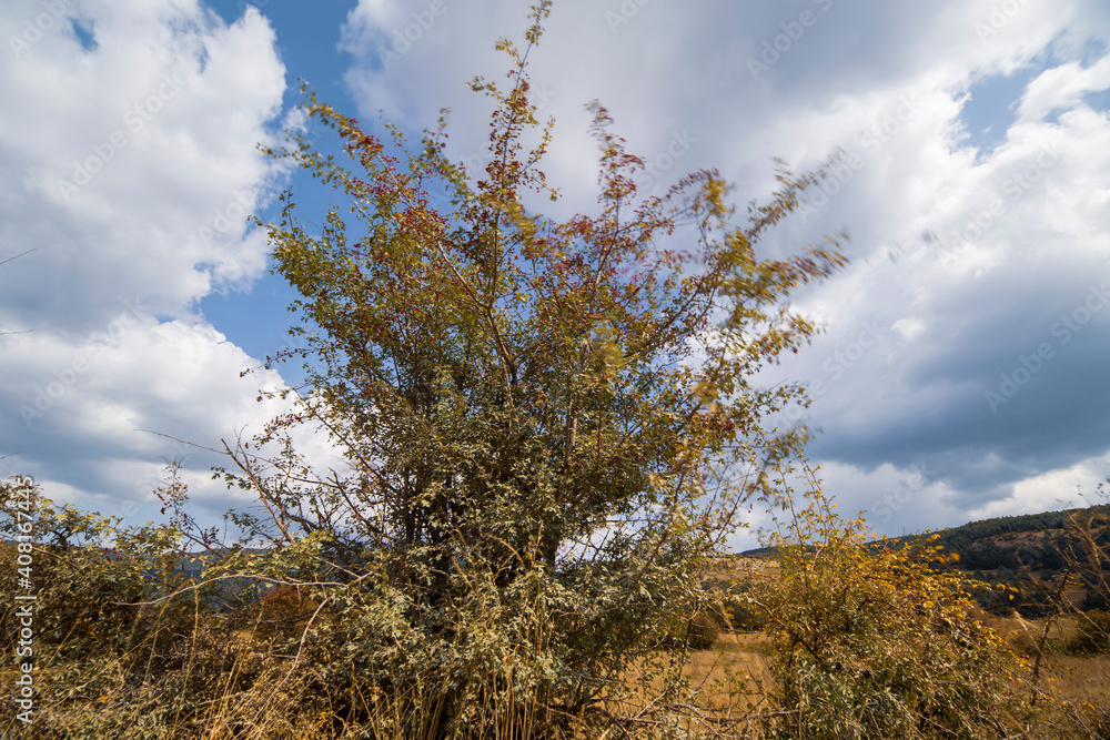 Obraz premium Summer landscape in Gudar mountain range Teruel province Aragon Spain