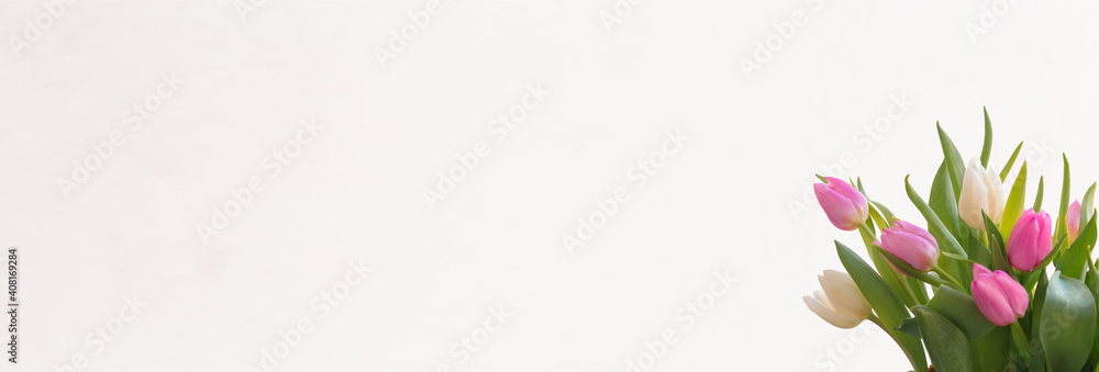 Tulips on a white background for a Womens Day, Mother Day, 8 march or Valentines day. The concept of holidays and good morning wishes. Tulips on a white background for a Womens Day, Mother Day, 8 march or Valentines day. The concept of holidays and good morning wishes.