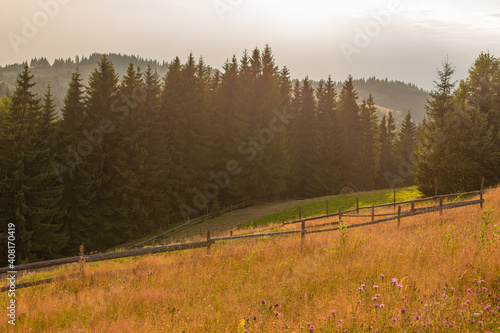 Mountain hills pure nature rural landscape. Fence from wooden logs