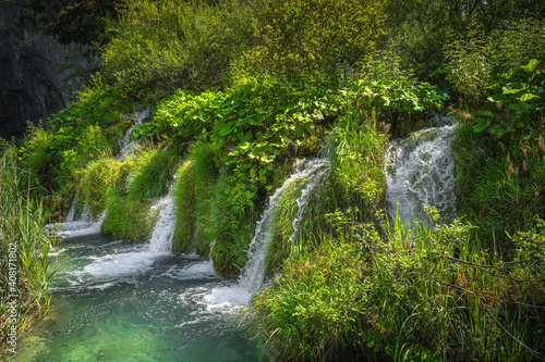 Fototapeta Naklejka Na Ścianę i Meble -  Cascades of water surrounded by tall grass falling into turquoise coloured lake. Plitvice Lakes National Park UNESCO World Heritage in Croatia