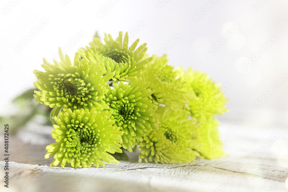 Fototapeta premium Fresh green flowers, wedding, and holiday arrangements. Valentine`s Day and holiday background.