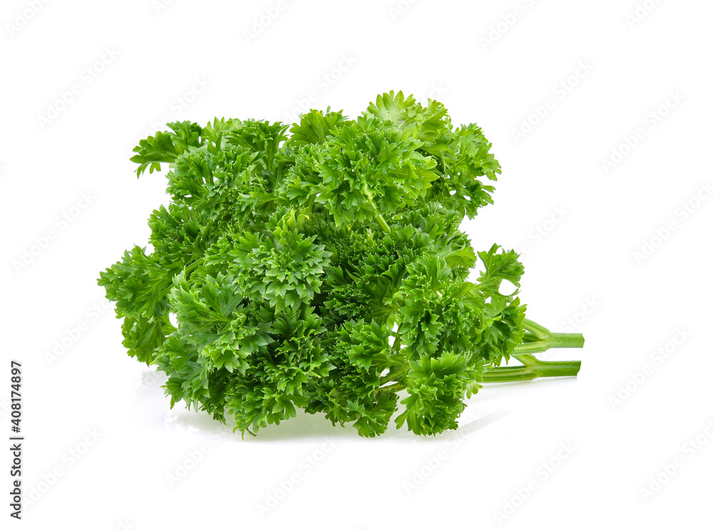 Fototapeta premium Parsley isolated on white background
