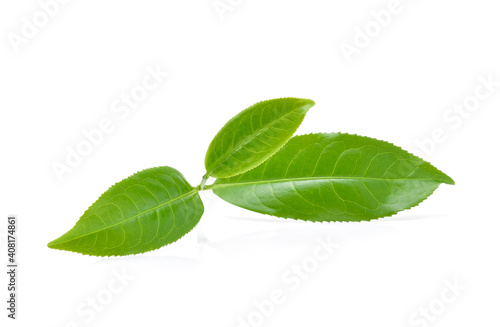 Green tea leaves isolated on white background