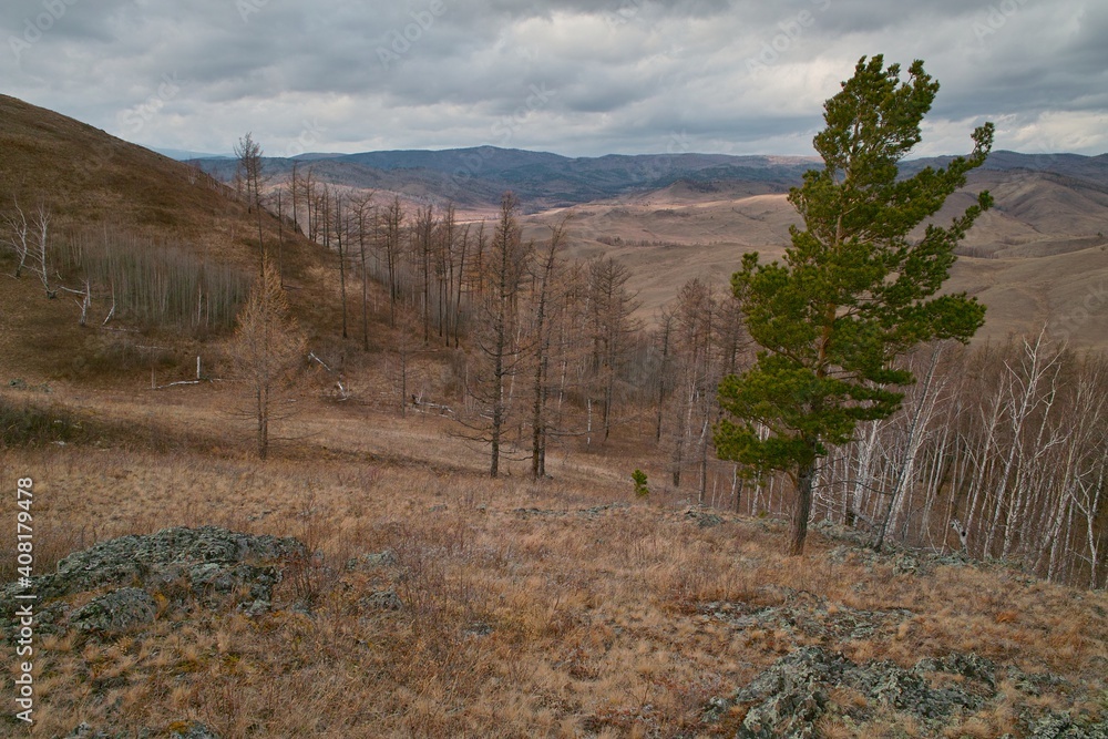 landscape in the mountains from Khakassia