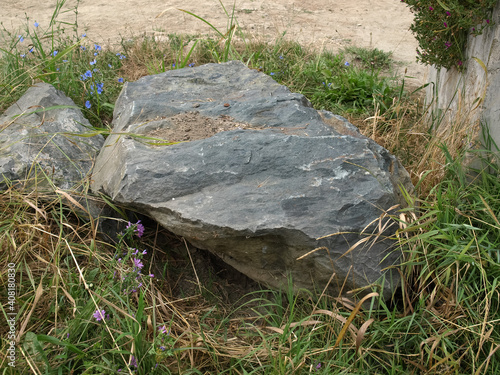 boulder rock in meadow