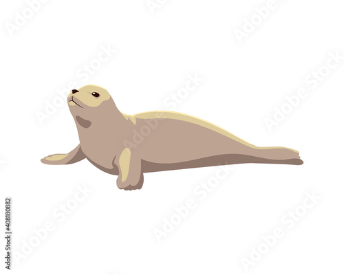 seal north pole animal icon isolated style