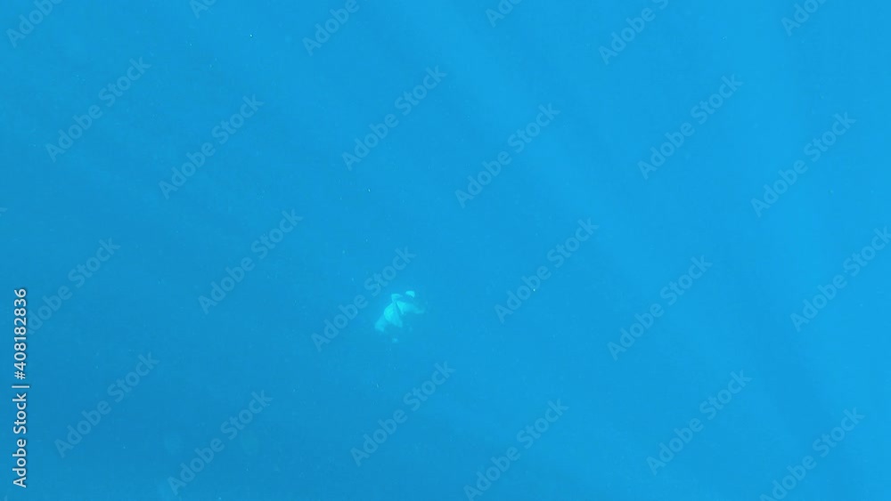 Deep Blue Diver. This male free diver submerges more than 25M underwater in the Pacific Ocean. Rays of sun glisten through the surface.4K capture in Hawaii. Deep Blue Diver. This male free diver submerges more than 25M underwater in the Pacific Ocean. Rays of sun glisten through the surface.4K capture in Hawaii.