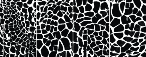 Pattern with giraffe skin texture black and white. Giraffe print. Animal print vector illustration. Fashionable print.