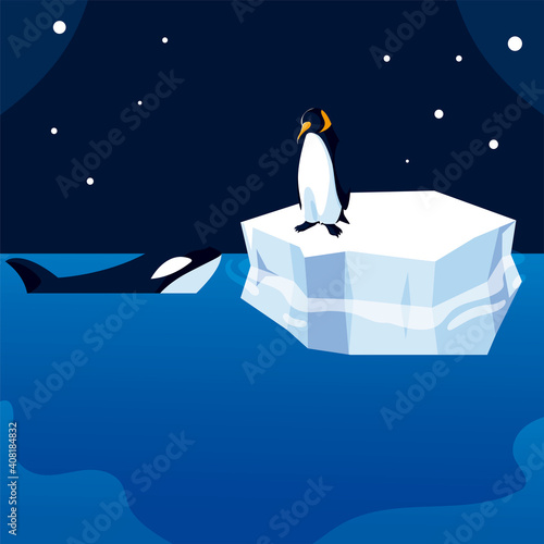 killer whale and penguin on iceberg north pole wildlife