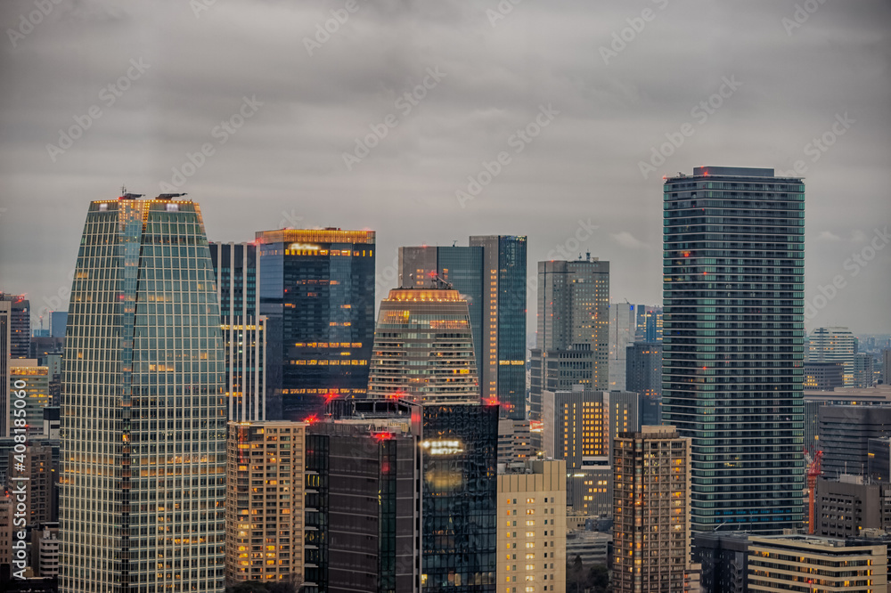 Obraz premium 東京都港区浜松町から見た東京の夜景