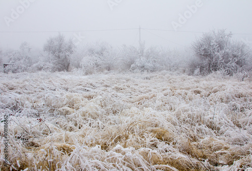 Snow-covered winter steppe during fog. Trees and grass covered with frost
