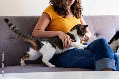 Fotografia Woman at home tenderly stroking striped and white cat with pet