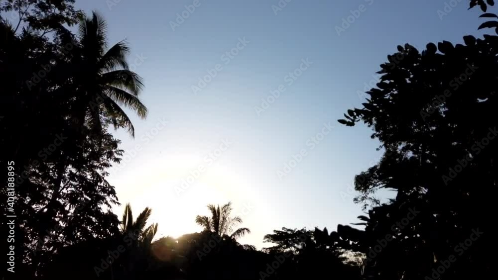 A full sunset time lapse in a garden with tall trees silhouetted against the light. Bright sunlight then purple colours and stars. A full sunset time lapse in a garden with tall trees silhouetted against the light. Bright sunlight then purple colours and stars.