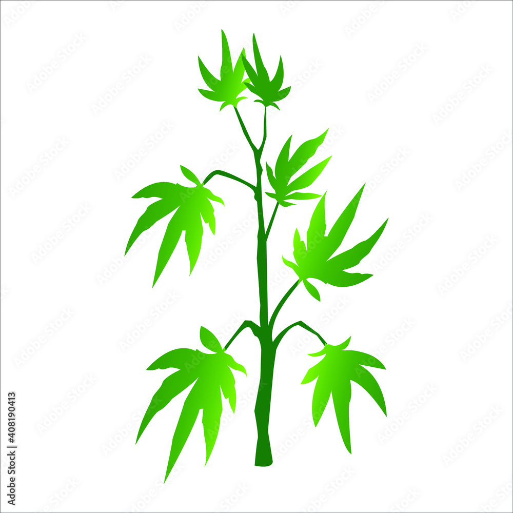 Medical Marijuana Cannabis Branch - Vector Illustration Medical Marijuana Cannabis Branch - Vector Illustration