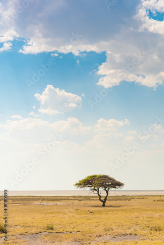 The Sky Over The Etosha Pan, Namibia