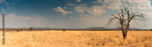 Landscape In The Ugab Valley At Outjo  Kunene  Namibia  Panorama