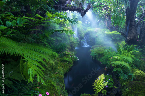 Beautiful green garden with waterfall.