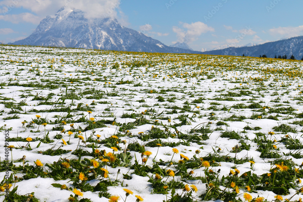 Snow In April