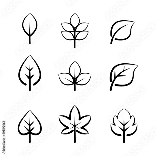 set of line art leaves floral