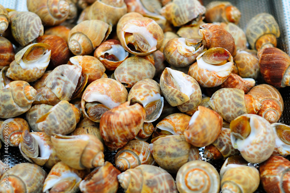 Grilled Snails Grilled Snails
