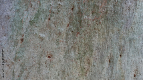 Eucalyptus trunk texture. Light gray smooth wood with brown streaks and dots, no bark. Full Screen