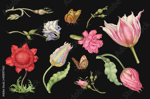Print op canvas Hand drawn flowers vector floral illustration set, remix from The Model Book of