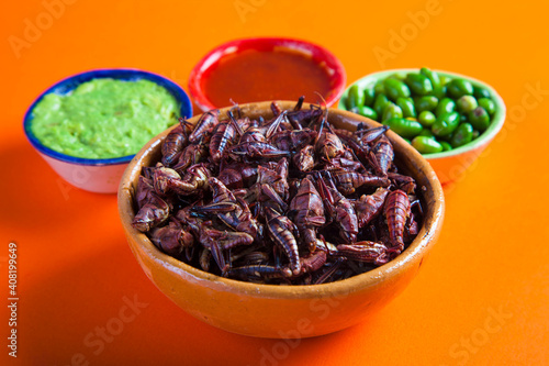 grasshoppers chapulines snack. Traditional mexican food photo