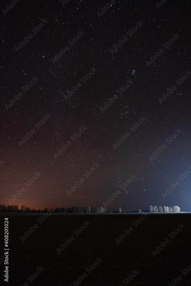 Starry sky over the forest near the field in the distance