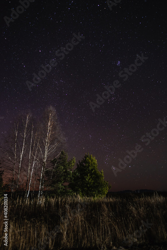 Obraz na płótnie Starry sky over birch and pine w salonie