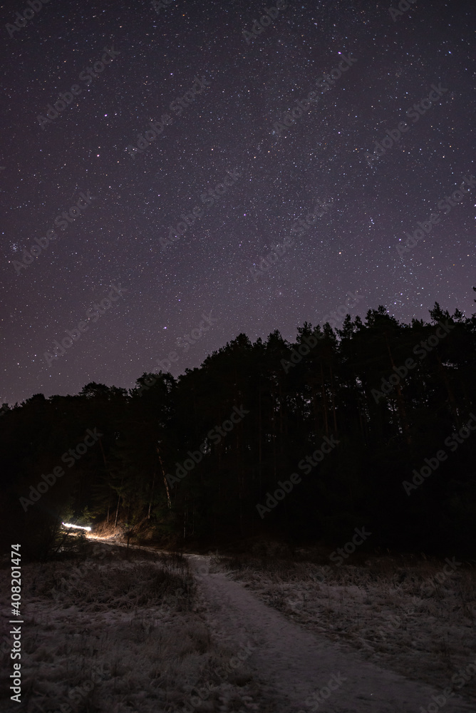 The starry sky over the forest and the path leading into the forest on a winter night.