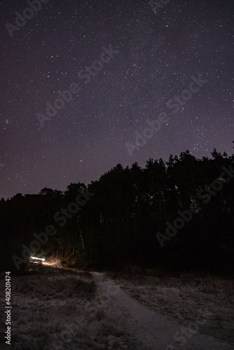 Obraz na płótnie The starry sky over the forest and the path leading into the forest on a winter night. w salonie