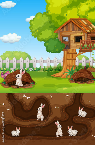 Underground animal hole with many white rabbits