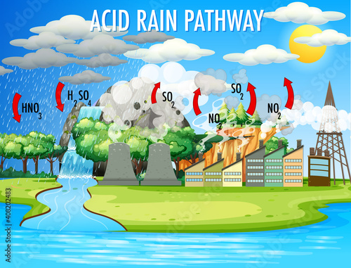 Diagram showing acid rain pathway