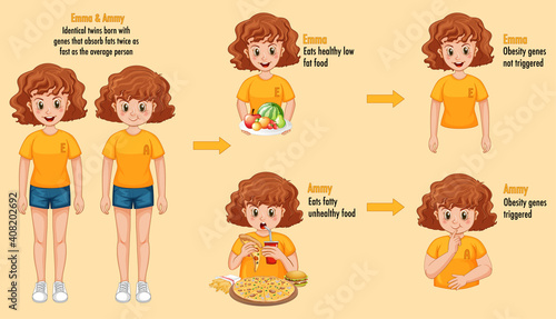 Roles of genes and environment. Body fat in identical twins infographic. photo