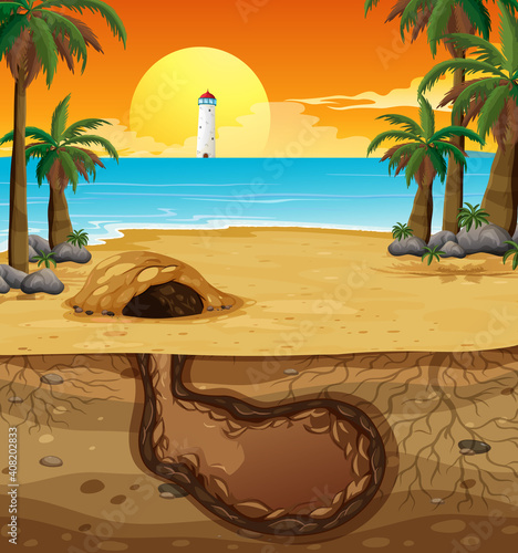 Empty underground animal hole