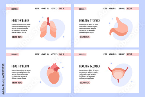 Human lungs, bladder, heart, stomach. Diagnostics of diseases of internal organs. Vector flat cartoon illustration. Perfect for banner, landing page, website