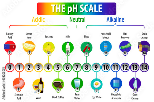 The pH Scale diagram on white background