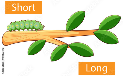 Opposite adjectives words with short and long