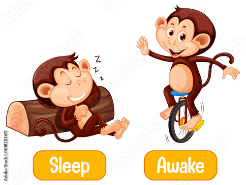 Opposite words with sleep and awake