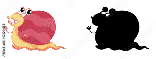 Snail with its silhouette on white background