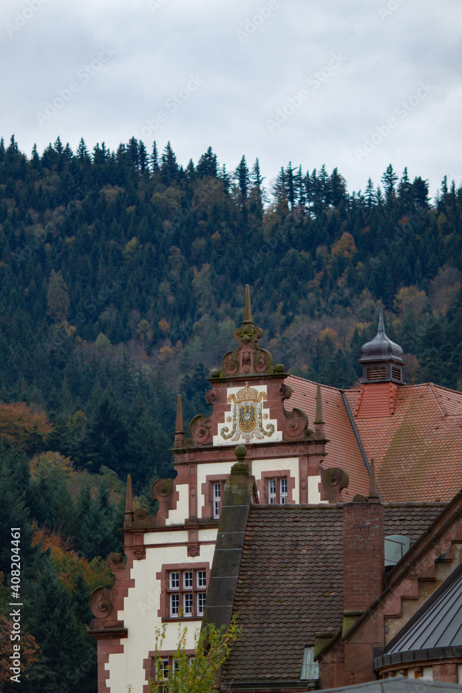 Freiburg im Breisgau, Germany - 11 01 2012: Close up fragments of medieval buildings on Empty european street on the cloudy autumn day Freiburg im Breisgau, Germany - 11 01 2012: Close up fragments of medieval buildings on Empty european street on the cloudy autumn day