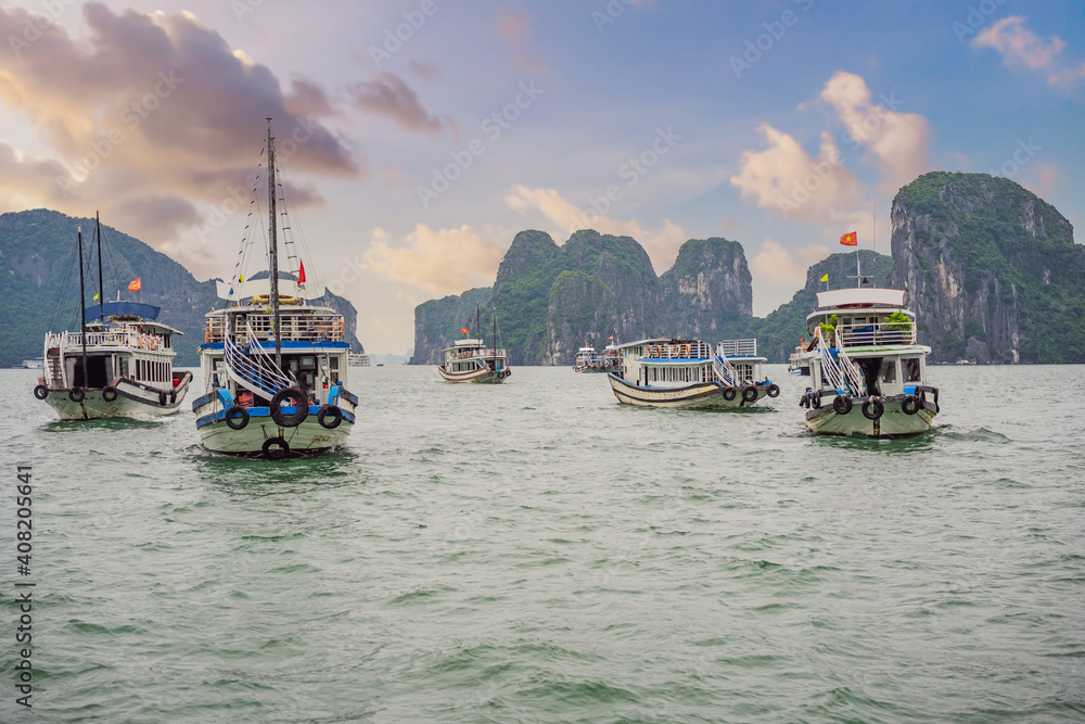 Fototapeta premium Cruise ships and islands in Halong Bay, Vietnam