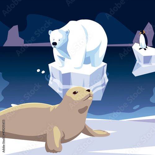 seal and polar bear animals north pole iceberg