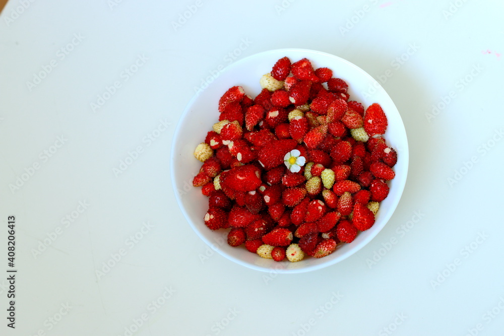 red currants in a bowl red currants in a bowl