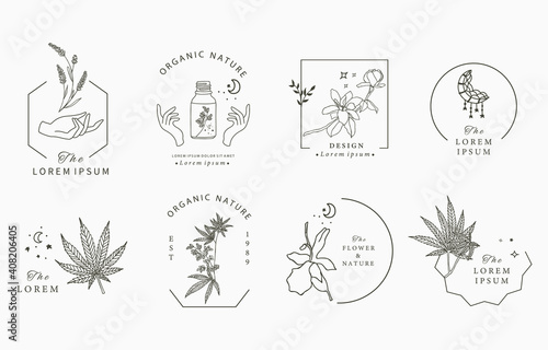 Line object collection with hand, cannabis,lavender,magnolia,moon